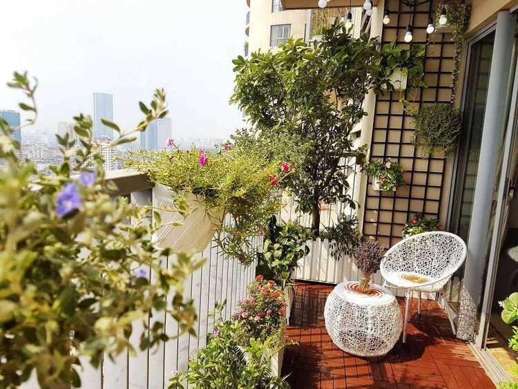 Cải tạo ban công chung cư dùng để trồng cây xanh thư giãn