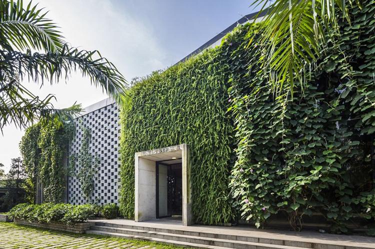 Trồng nhiều cây xanh xung quanh nhà để chống nóng tường nhà hiệu quả