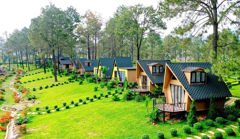 Mẫu nhà gỗ đẹp kiểu homestay nghỉ dưỡng tiện nghi, tiết kiệm chi phí
