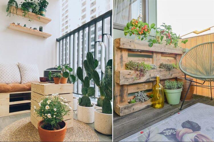 Cải tạo ban công chung cư đẹp với các chậu hoa nhỏ bền đẹp theo mùa