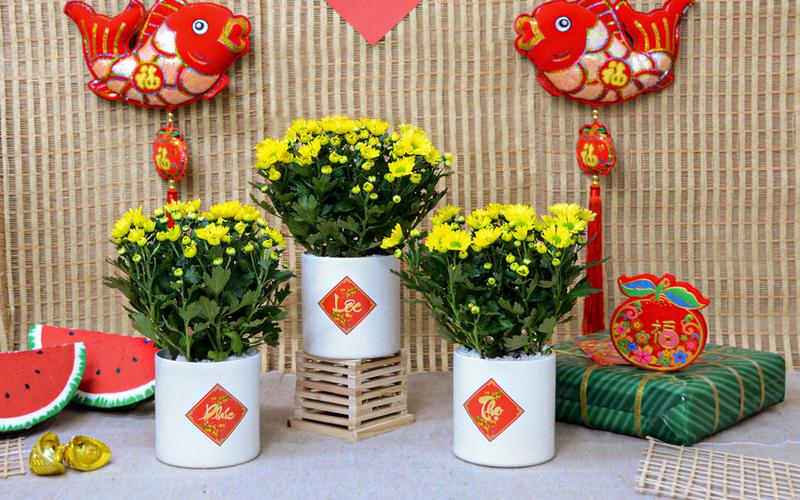 Trang trí Tết cổ truyền Việt Nam hiện đại bằng cách chưng cây mai, cây đào ở hai bên cửa