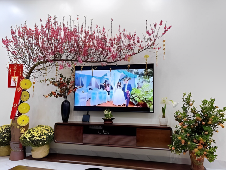 Trang trí Tết phòng khách đơn giản mà đẹp bằng cây cảnh
