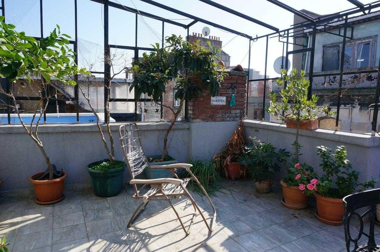 Góc nhìn toàn cảnh nhà cấp 4 diện tích 4x20m có sân thượng trồng cây