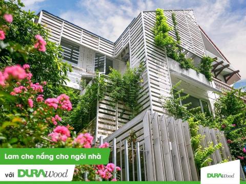 Các loại cây có dáng đẹp, nhỏ gọn như cau cảnh, trúc quân tử giúp tăng thẩm mỹ và sự thông thoáng cho không gian trước nhà (Nguồn: Internet)